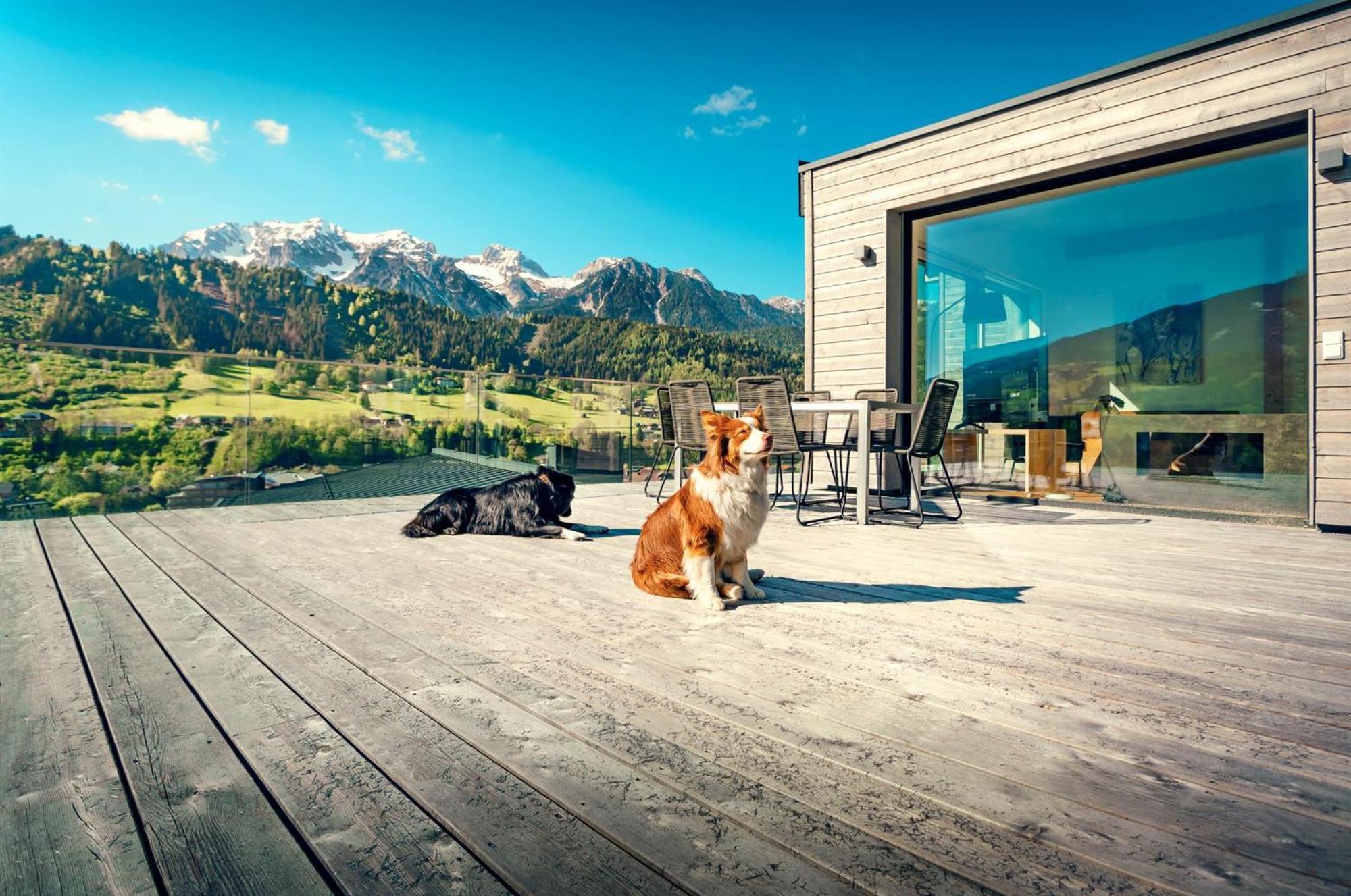 Chalets Coburg Schladming Extérieur photo